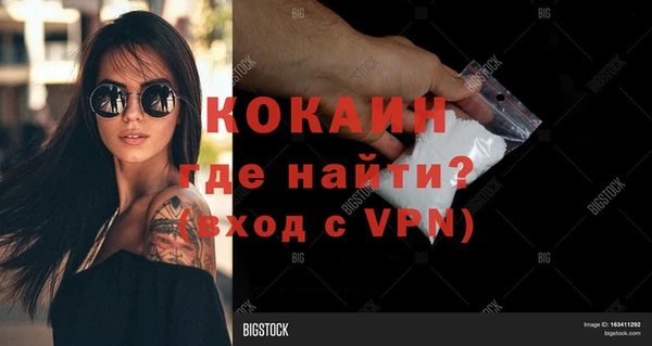 прущие крисы Верея