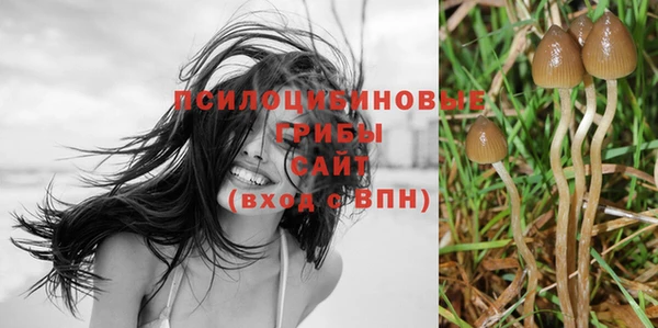 ГАЛЛЮЦИНОГЕННЫЕ ГРИБЫ Верхнеуральск