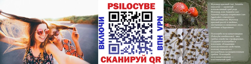 Купить  Ермолино  Псилоцибиновые грибы прущие грибы 